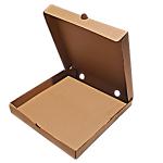 Pizza Kargo Kutusu 100 Adet 31 X 30 X 4 cm