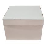 30 X 30 X 20 PASTA KUTUSU
